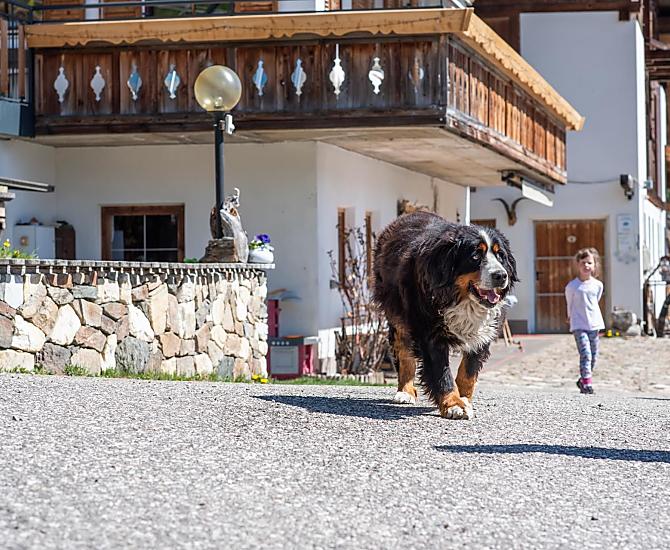 Kalchgruberhof - Fotogalerie Photo