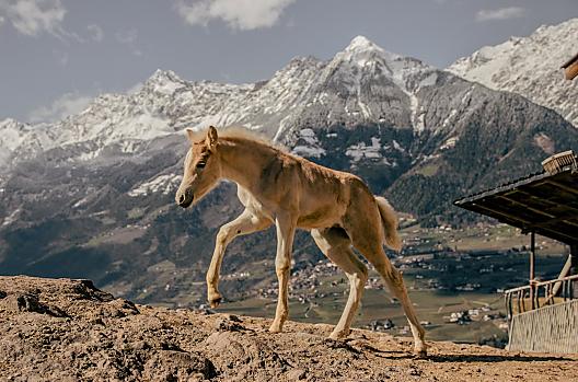 Kiendlhof - Seznam Photo