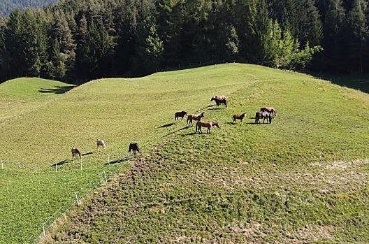 Ladinserhof - Seznam Photo