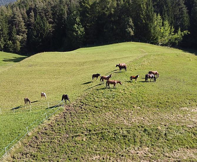 Ladinserhof - Fotogalerie Photo