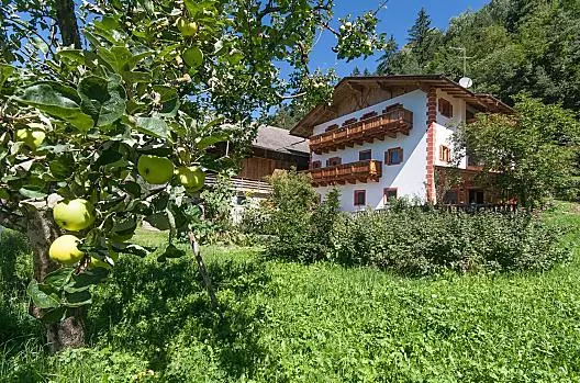 Obytný dům se stájí na slunném místě na svahu obklopeném pěstováním ovoce a zeleniny.