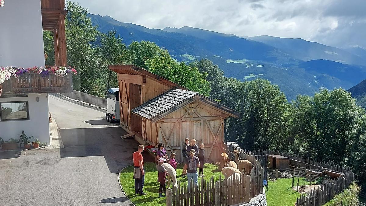 Náš výchozí bod pro túry po alpakách. Od července do října jsou na naší farmě nabízeny túry po alpakách na základě rezervace.