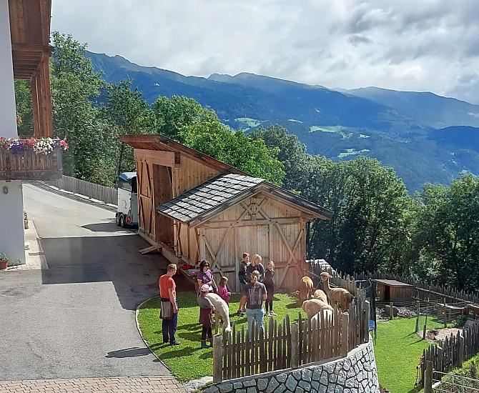 Náš výchozí bod pro túry po alpakách. Od července do října jsou na naší farmě nabízeny túry po alpakách na základě rezervace.