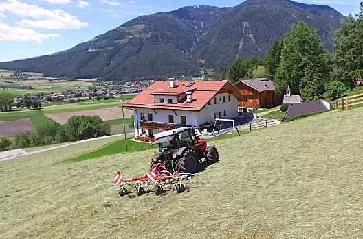 Během sklizně sena