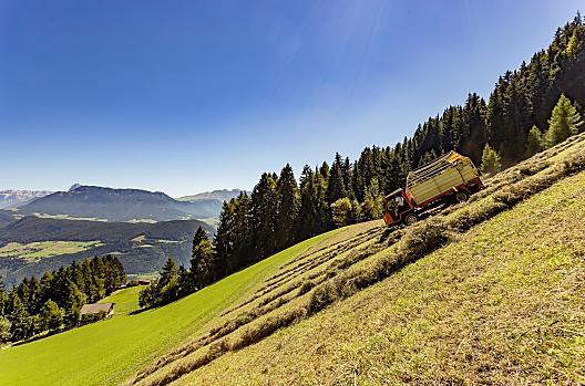 Sklizeň sena na naší alpské pastvině „Kaserol“, v těsné blízkosti vodopádů Barbian.
