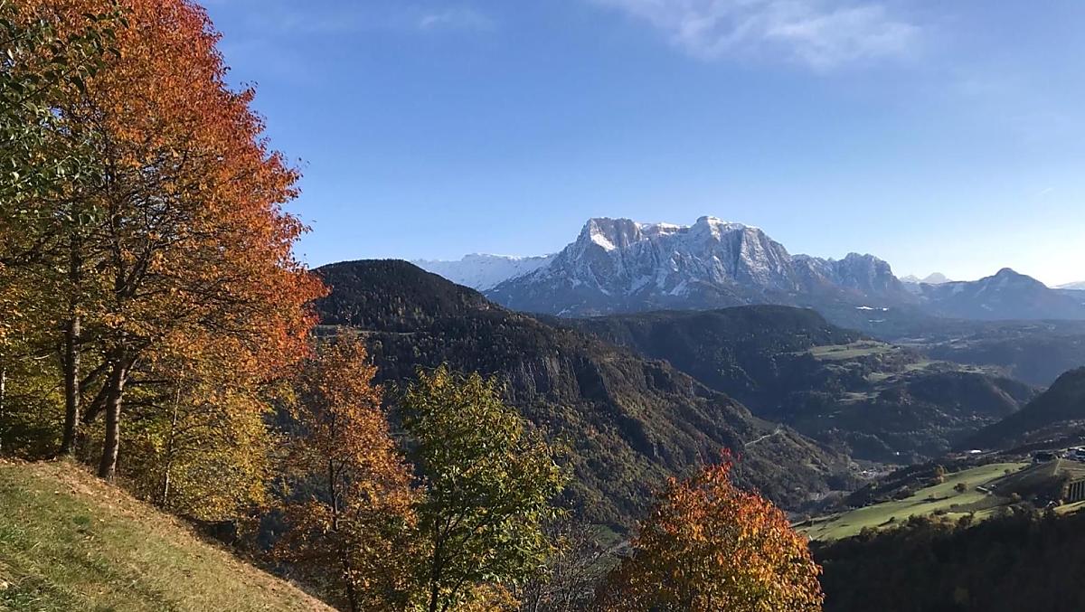 Oberpalwitter - Fotogalerie Photo