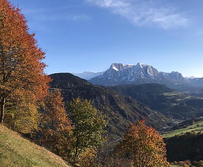 Oberpalwitter - Fotogalerie Photo