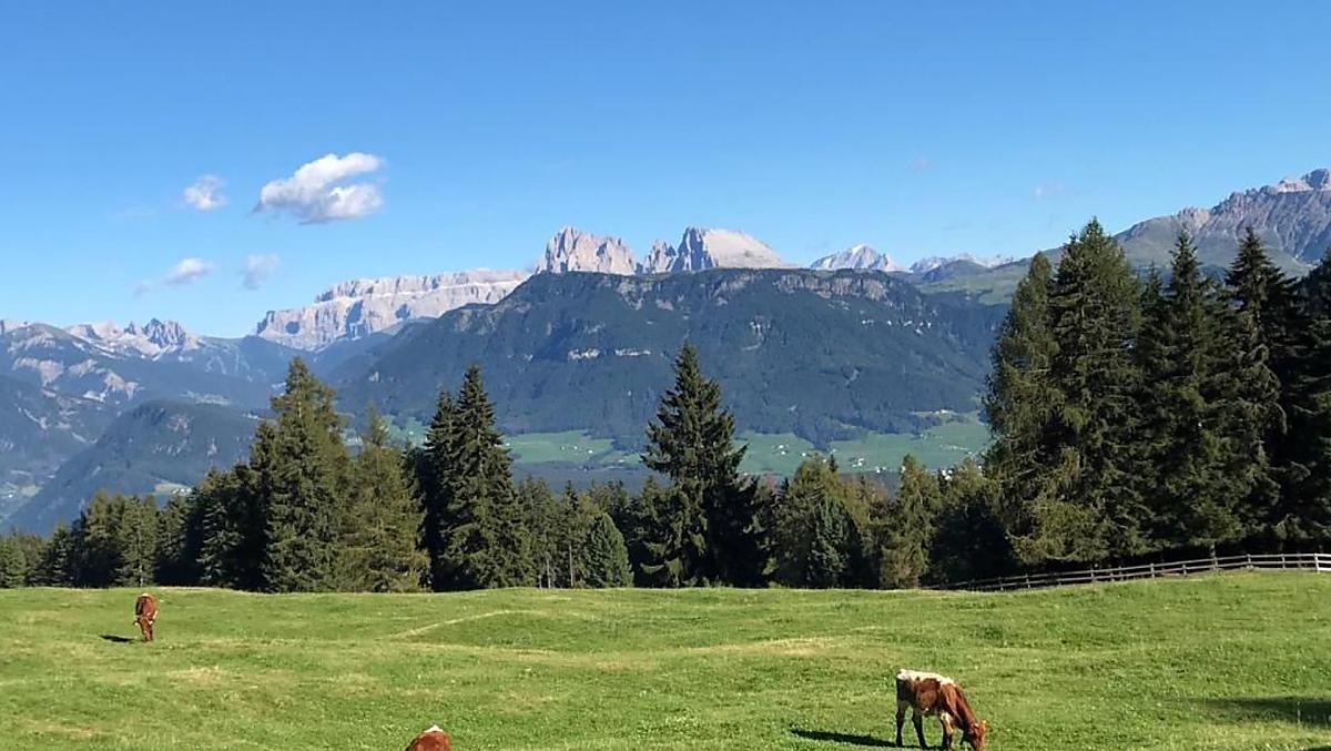 Oberpalwitter - Fotogalerie Photo
