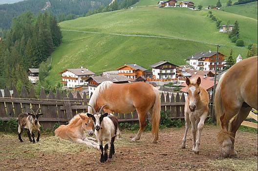 Parseidhof - Seznam Photo
