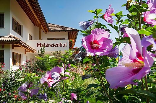 Malgreienhof - Seznam Photo