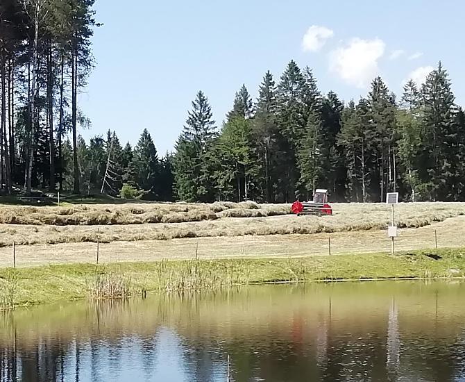 Počasí je správné a seno je přivezeno - řadí se, aby se dobil