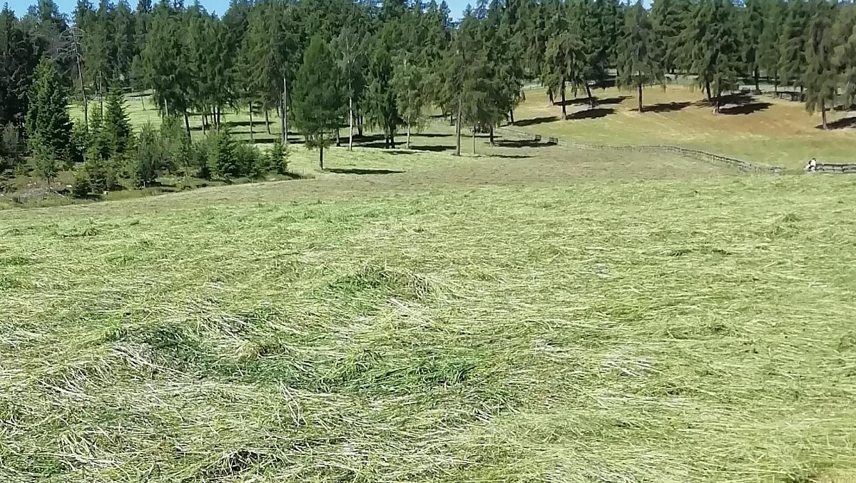 Sena je nekonečně – ale počasí je správné a pak toho musíte využít