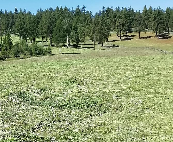 Sena je nekonečně – ale počasí je správné a pak toho musíte využít