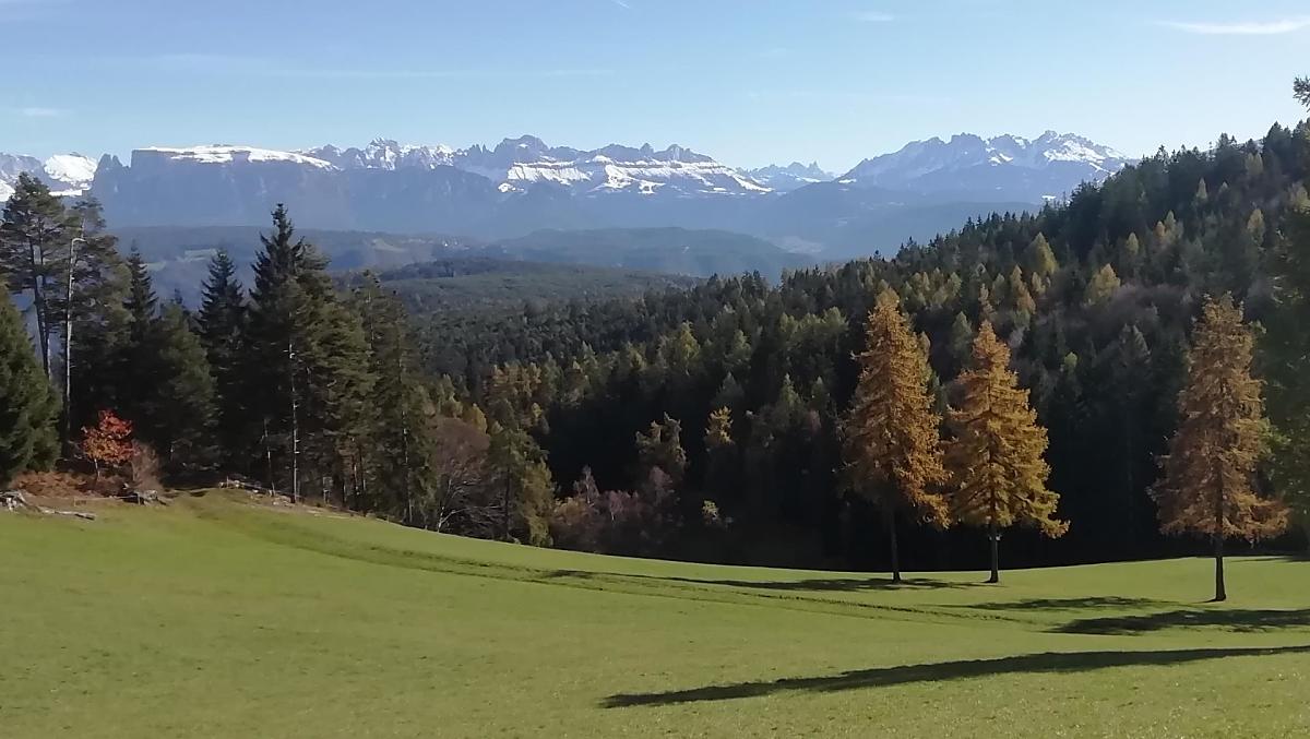 "Gotterwold Meadow“ na podzim