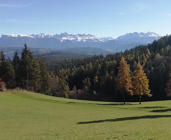 "Gotterwold Meadow“ na podzim