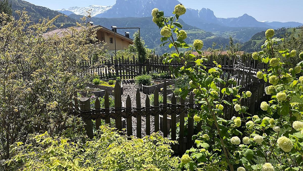 Frühling