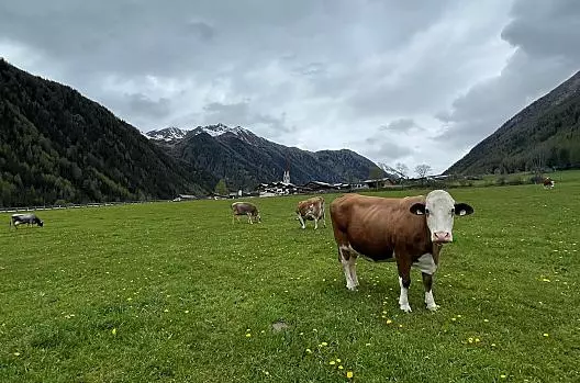 Lechnerhof - Seznam Photo