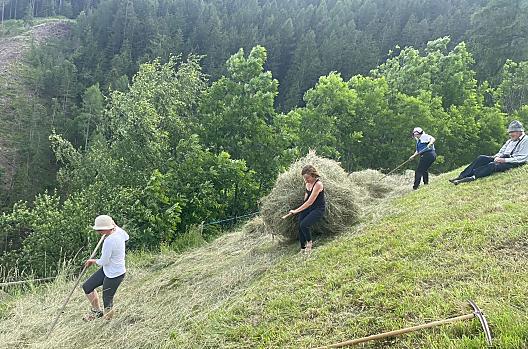 Moarhof - Seznam Photo