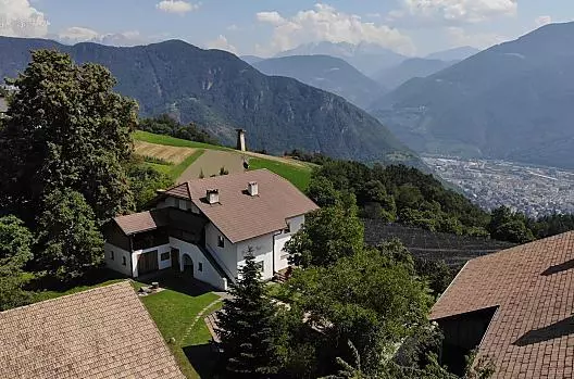 Wiesman - Seznam Photo