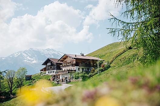 Wiesbauer - Seznam Photo