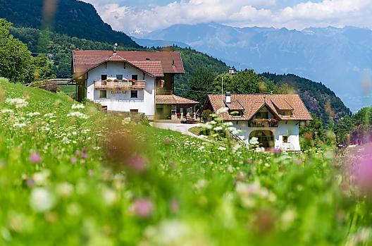 Steckerhof - Seznam Photo