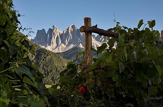 Putzerhof - Seznam Photo