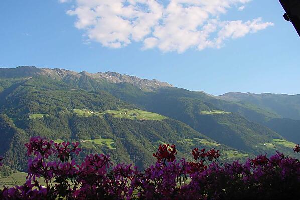 Aussicht vom Balkon