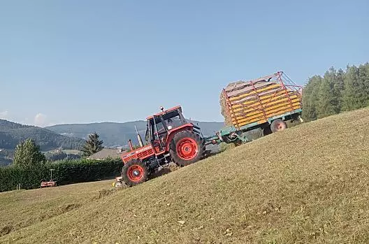 Sklizeň sena