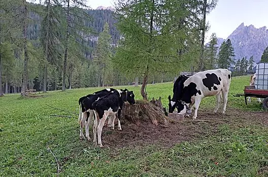 Ausserschrafflerhof - Seznam Photo