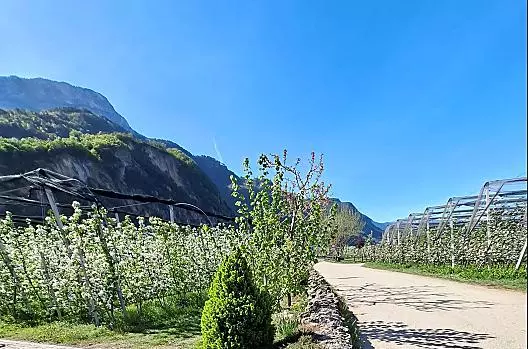 Versigglhof - Seznam Photo