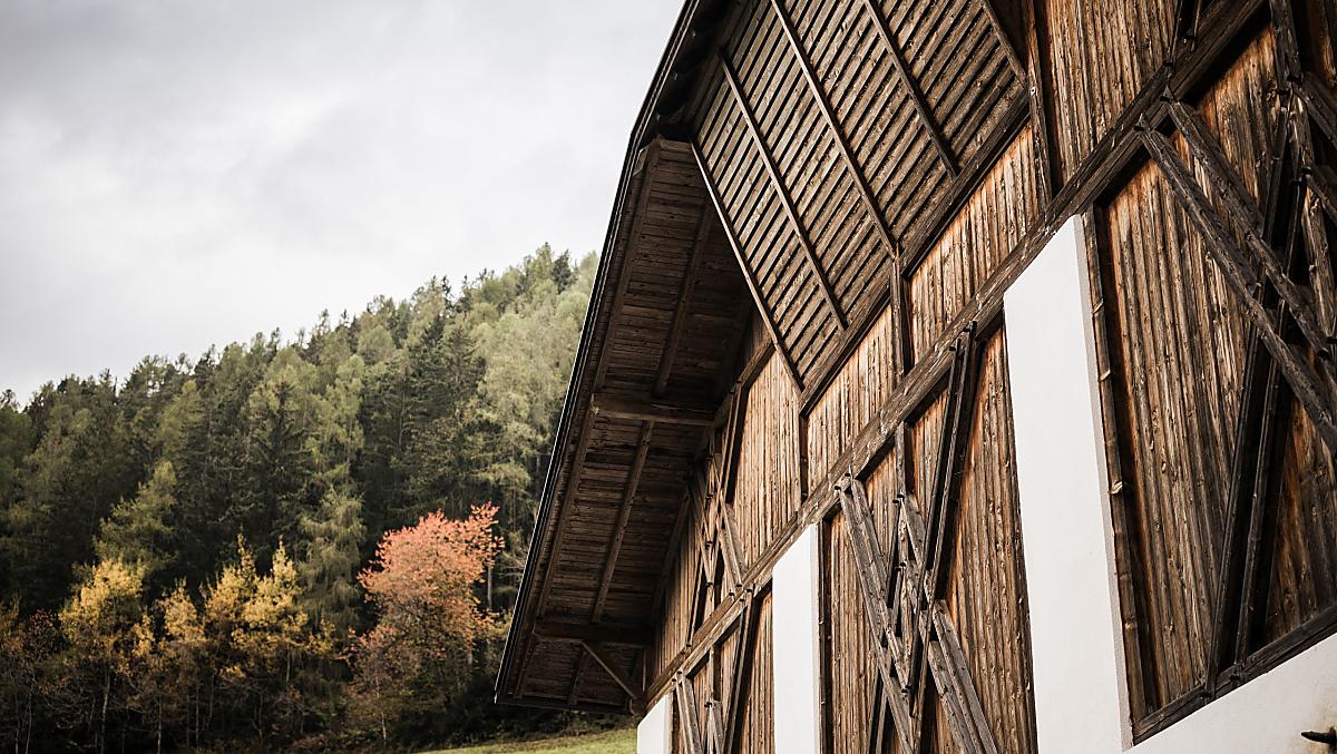 Zalnerhof - Fotogalerie Photo