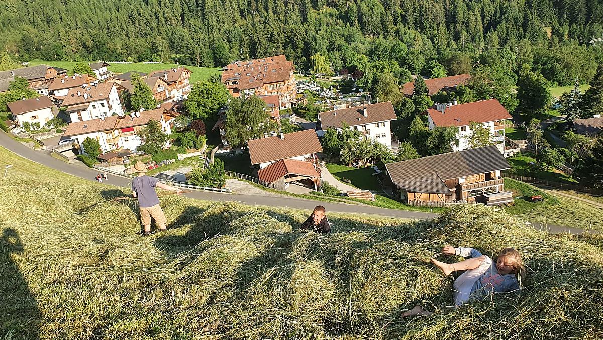 Zalnerhof - Fotogalerie Photo