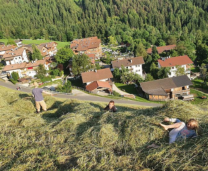 Zalnerhof - Fotogalerie Photo