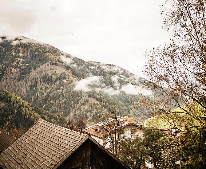 Zalnerhof - Fotogalerie Photo