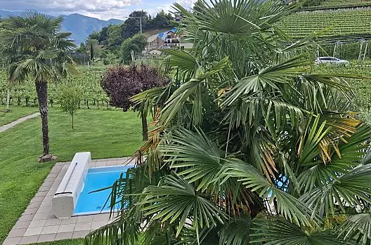 Pfeiferhof - Seznam Photo