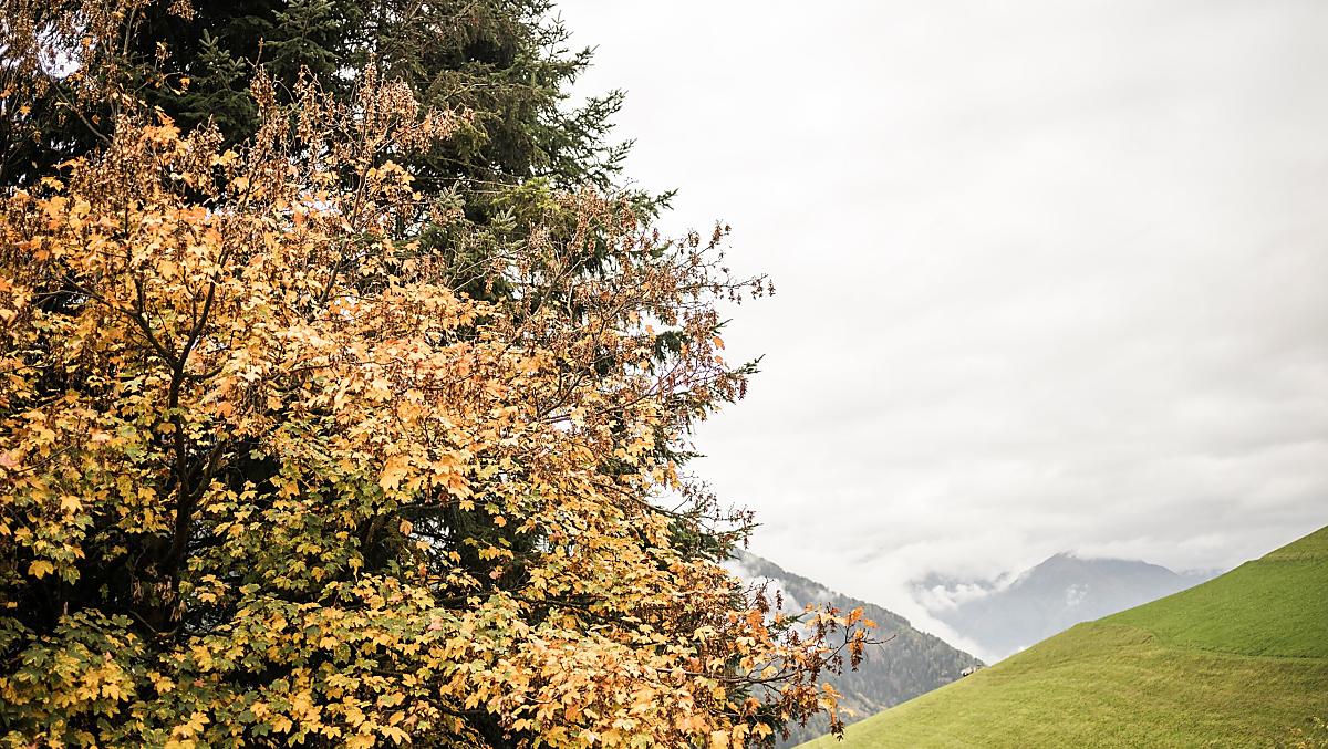 Zalnerhof - Fotogalerie Photo