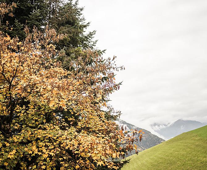 Zalnerhof - Fotogalerie Photo