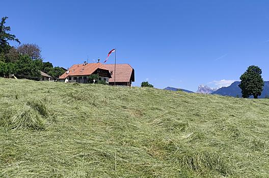 Aschnerhof - Seznam Photo