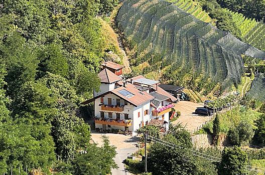 Vítáme vás na statku Törggelehof, který leží na slunném, odlehlém svahu nad Lanou a nedaleko lázeňského města Merano.