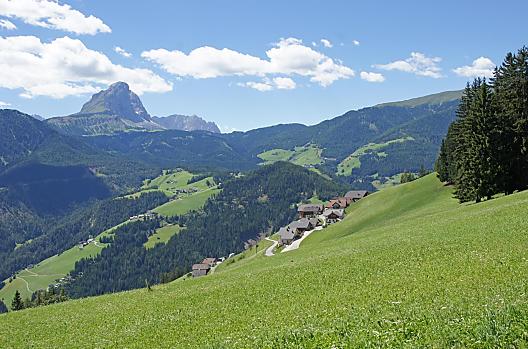 Al Cir - Seznam Photo