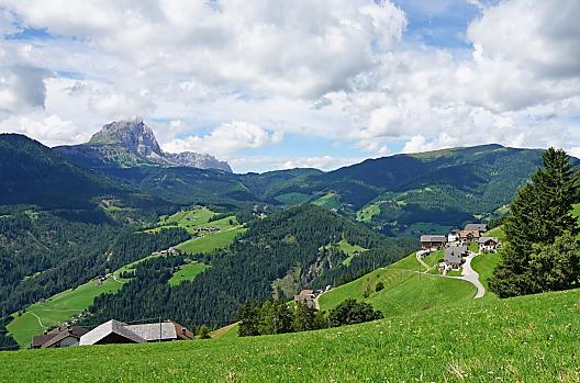 Al Cir - Seznam Photo