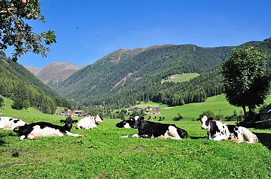 Leimgruberhof - Seznam Photo