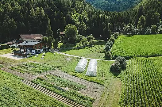 Perntal - Seznam Photo
