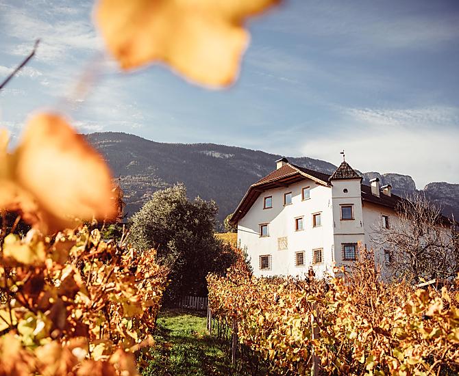Weinhof Von Payr - Fotogalerie Photo