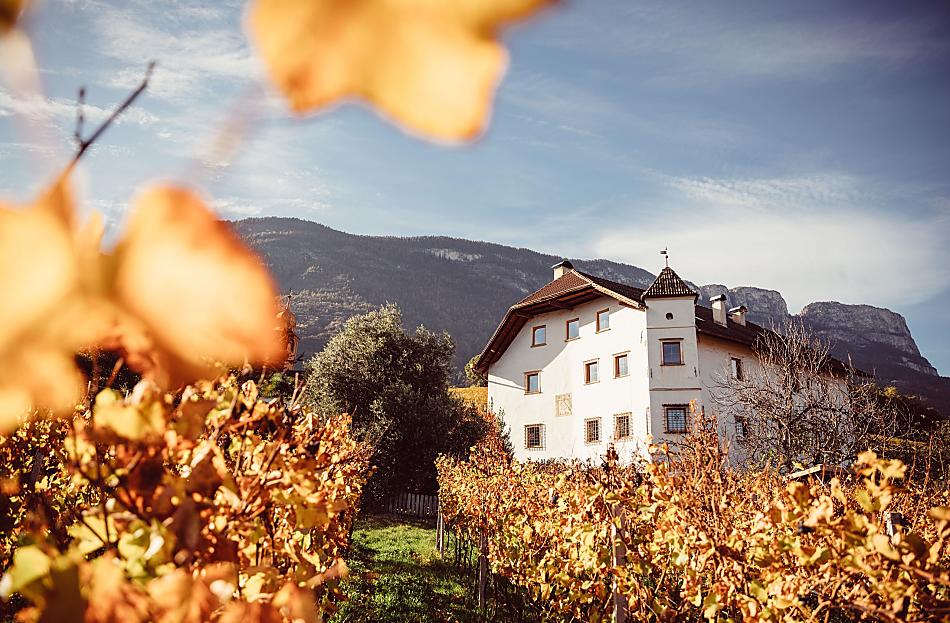 Weinhof Von Payr - Fotogalerie Photo