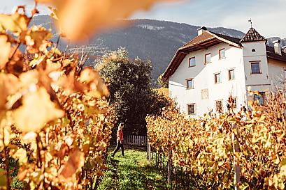 Weinhof Von Payr - Produkty statku Photo