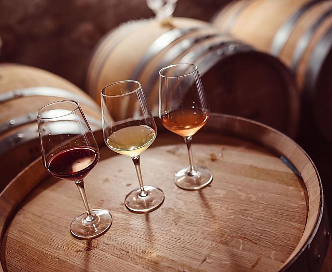 Weinhof Von Payr - Fotogalerie Photo