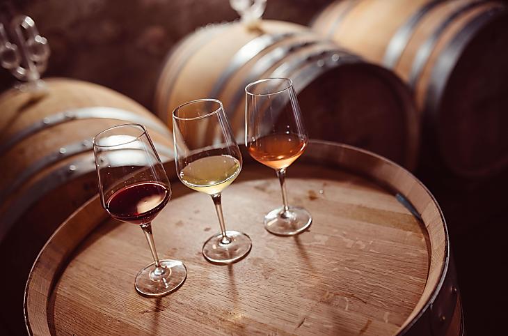 Weinhof Von Payr - Fotogalerie Photo