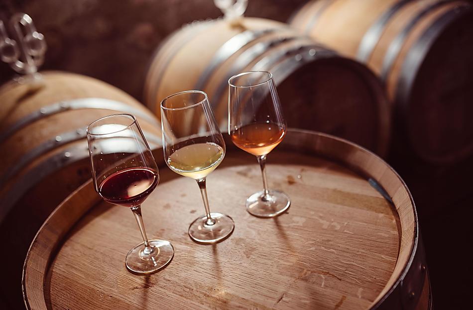 Weinhof Von Payr - Fotogalerie Photo