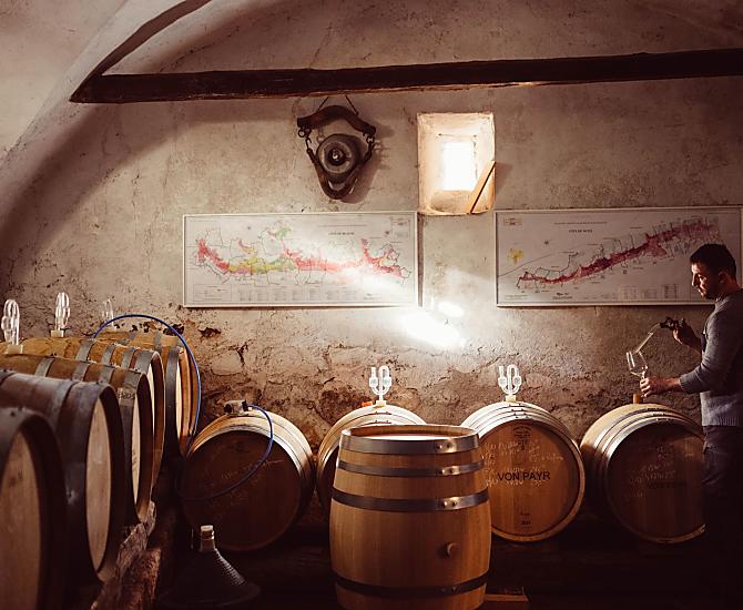 Weinhof Von Payr - Fotogalerie Photo